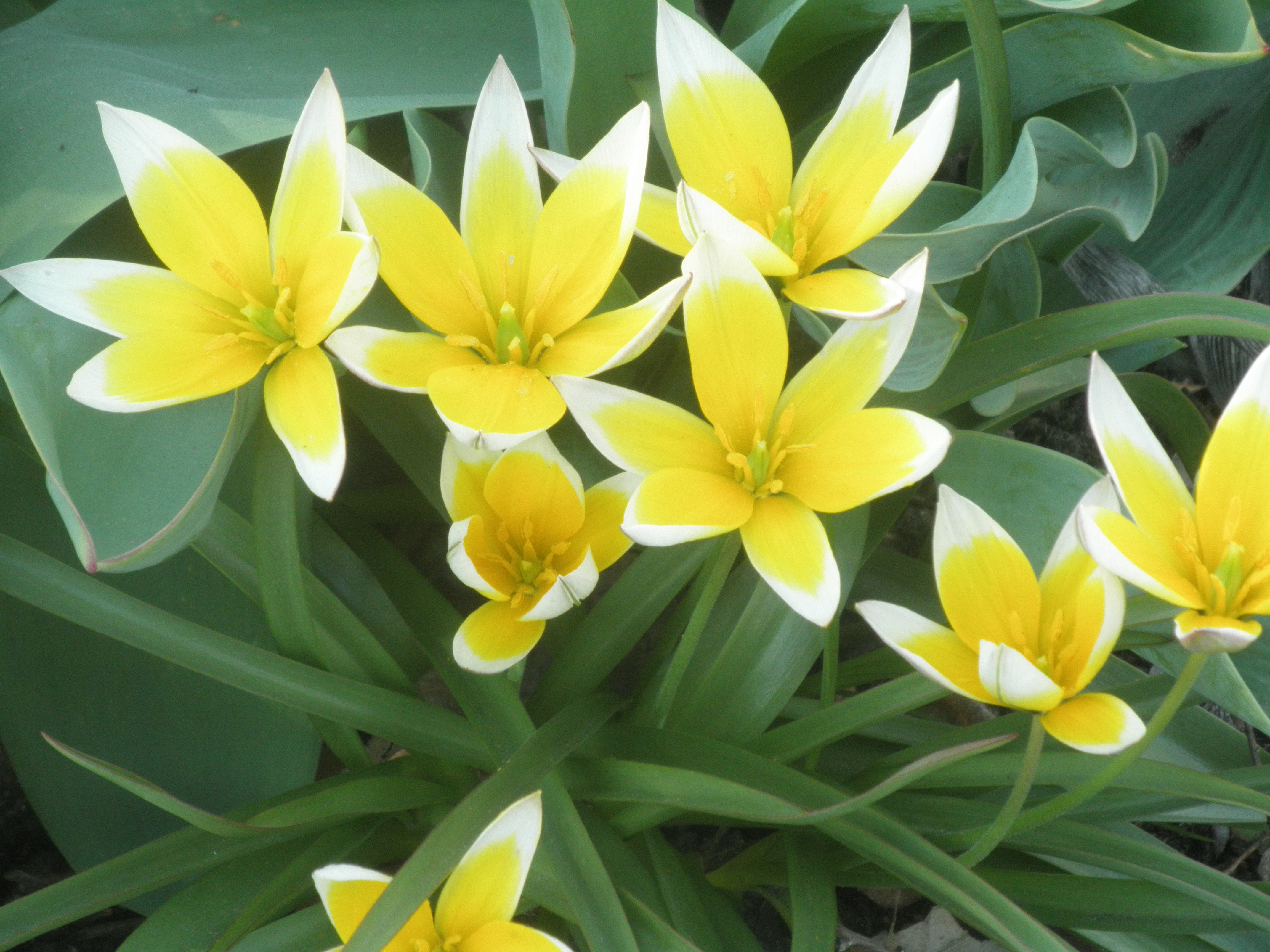 Photo by Jonathan Spiller