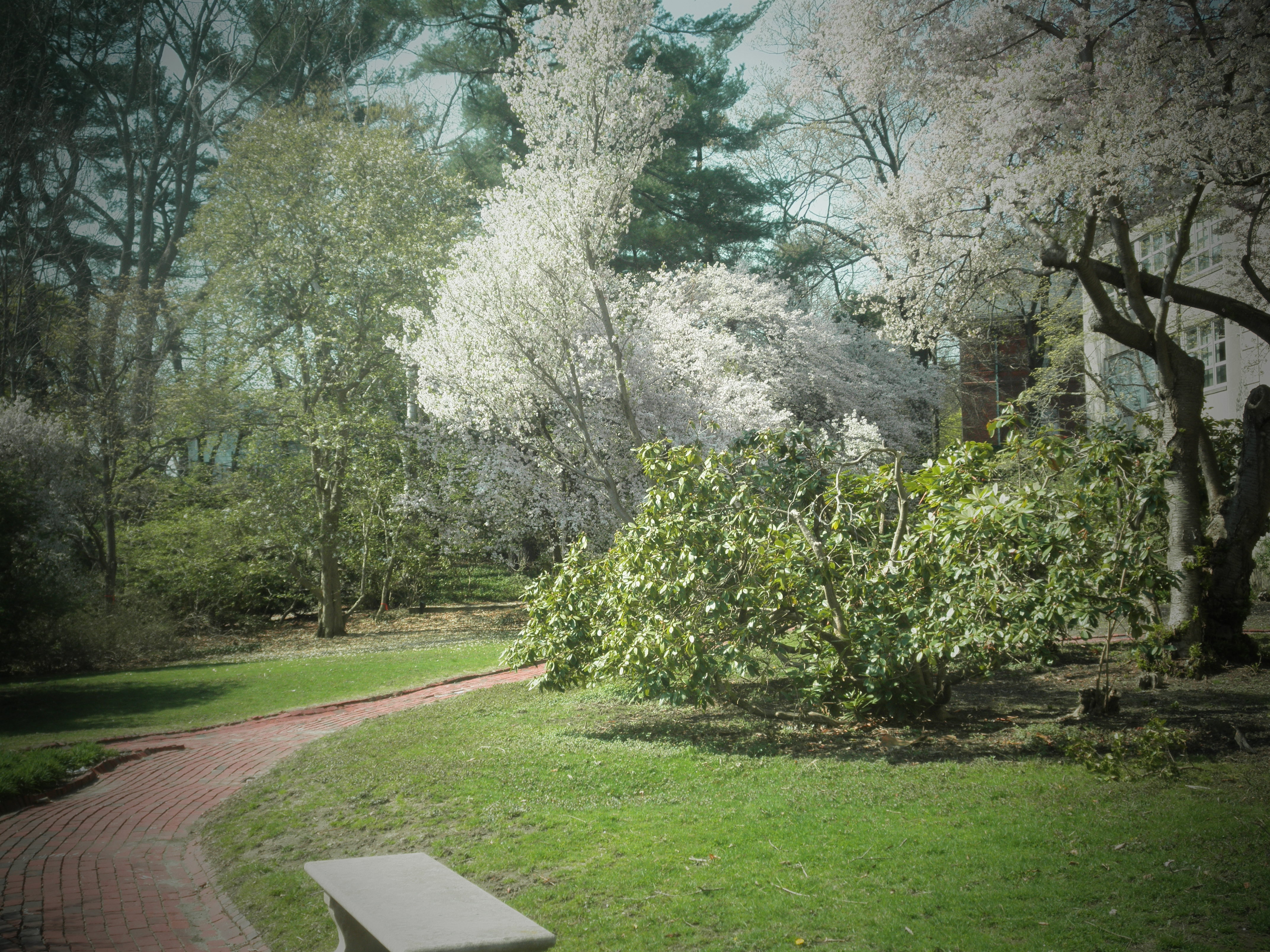 Photo by Jonathan Spiller